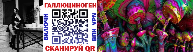Псилоцибиновые грибы Psilocybe  МЕГА ссылки  Комсомольск 